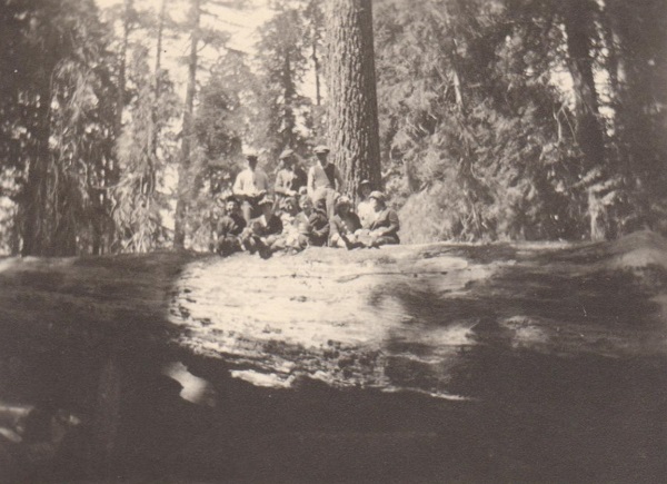 picture of a group of kids on a log