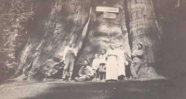 picture of people in front of General Sherman tree