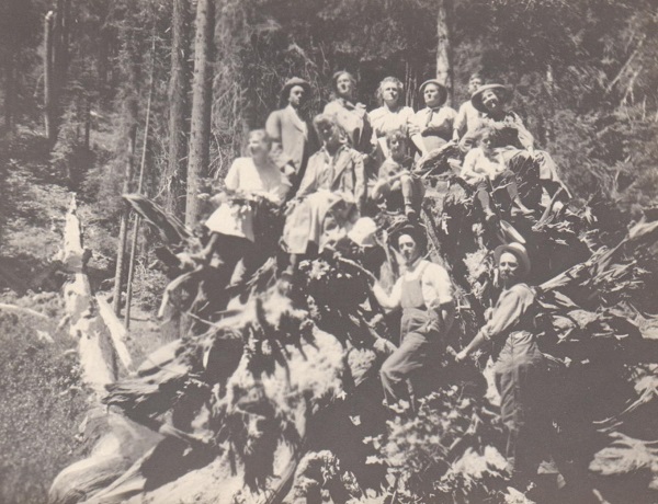 picture of a group of adults on a log