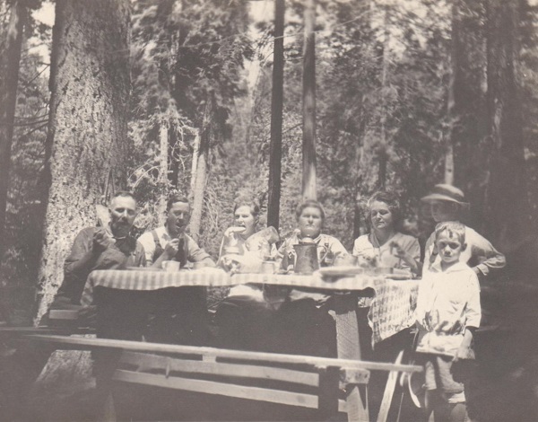 picture of a family having a picnic