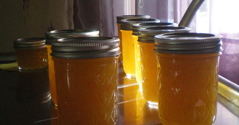 picture of homemade jellies